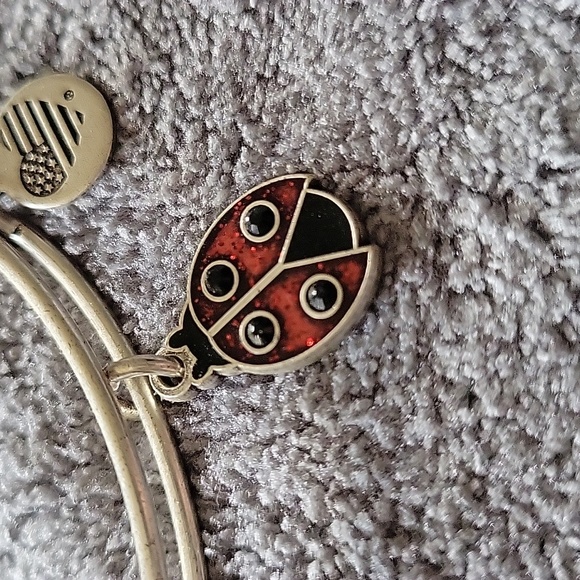 Alex And Ani Bracelet - Picture 2 of 4
